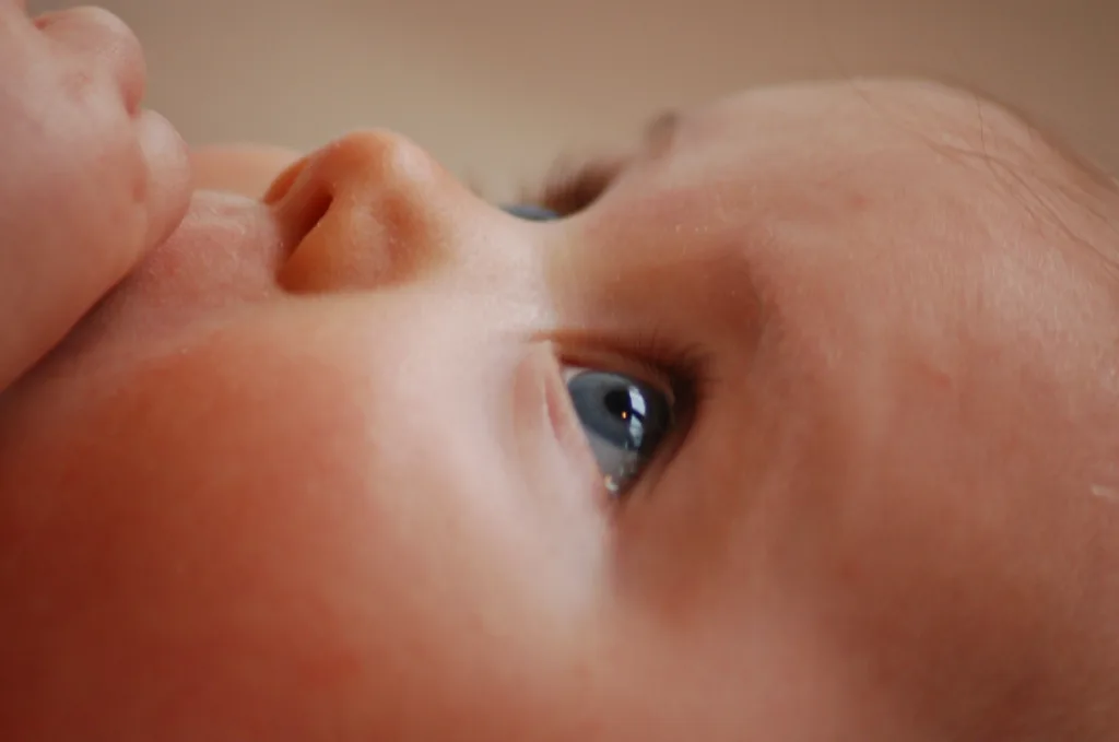 IMG_2433_BEBE